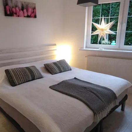 Mizerowka 쿠도바-즈루이